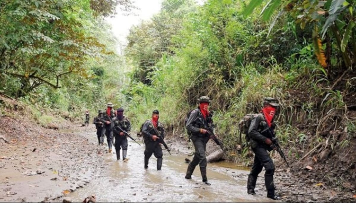 La Paz Total en el Catatumbo: el sueño de Petro que terminó en fracaso. | Foto: La Opinión.