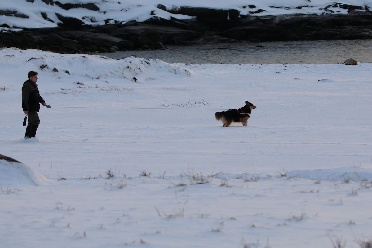 Una persona camina con un perro este miércoles, en Nuuk (Groenlandia). Donald Trump ha convertido a Groenlandia en el primer eslabón del conflicto a tres bandas que EE.UU., Rusia y China están disputando para controlar el Ártico, lo que puede colocar a la región en una crisis de consecuencias imprevisibles.
