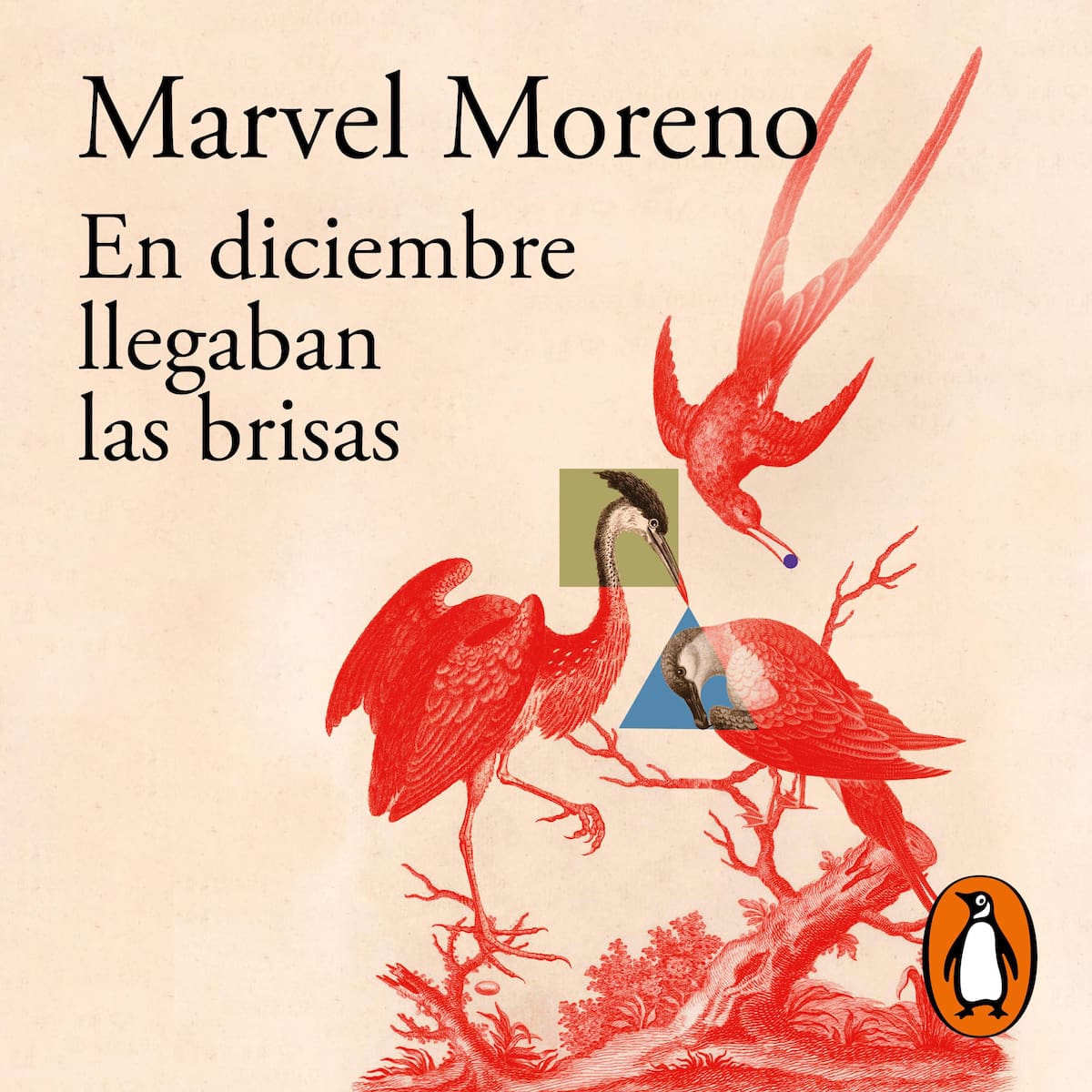 La verdadera historia detrás de ‘En diciembre llegaban las brisas’, la novela de Marvel Moreno que llegará a Netflix. Foto suministrada/VANGUARDIA