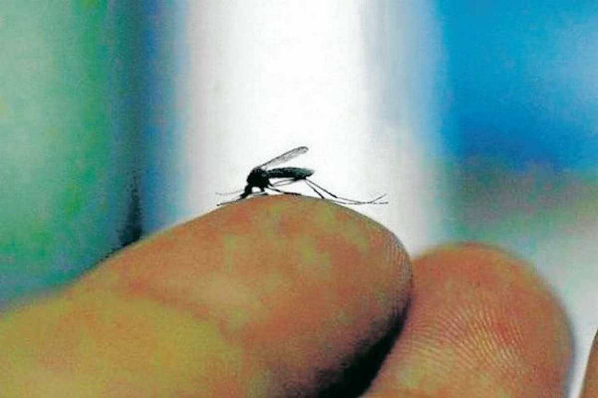 (Foto: Banco de Imágenes / VANGUARDIA LIBERAL)