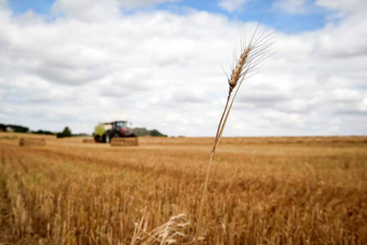 Desde diciembre de 2015, cuando el IPC se incrementó el 180% en un año y el de alimentos y bebidas más del 300%, no se han vuelto a publicar cifras. (Foto: Archivo/VANGUARDIA LIBERAL)