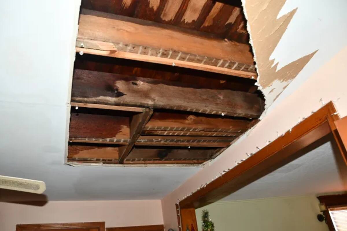 Las aterradoras márgenes del encierro donde un hombre fue retenido por su madrastra durante 20 años