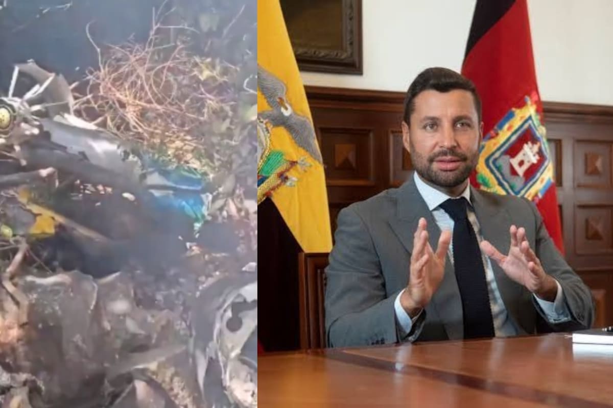 las autoridades no han informado qué provocó la caída del helicóptero ni han entregado detalles sobre la nacionalidad de las otras víctimas.