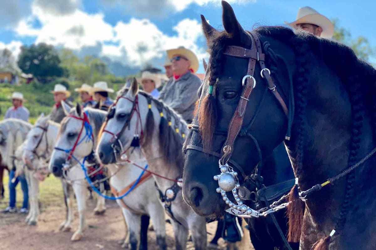 Las cabalgatas han sido objeto de controversia por la mezcla de consumo de licor y el uso de animales.