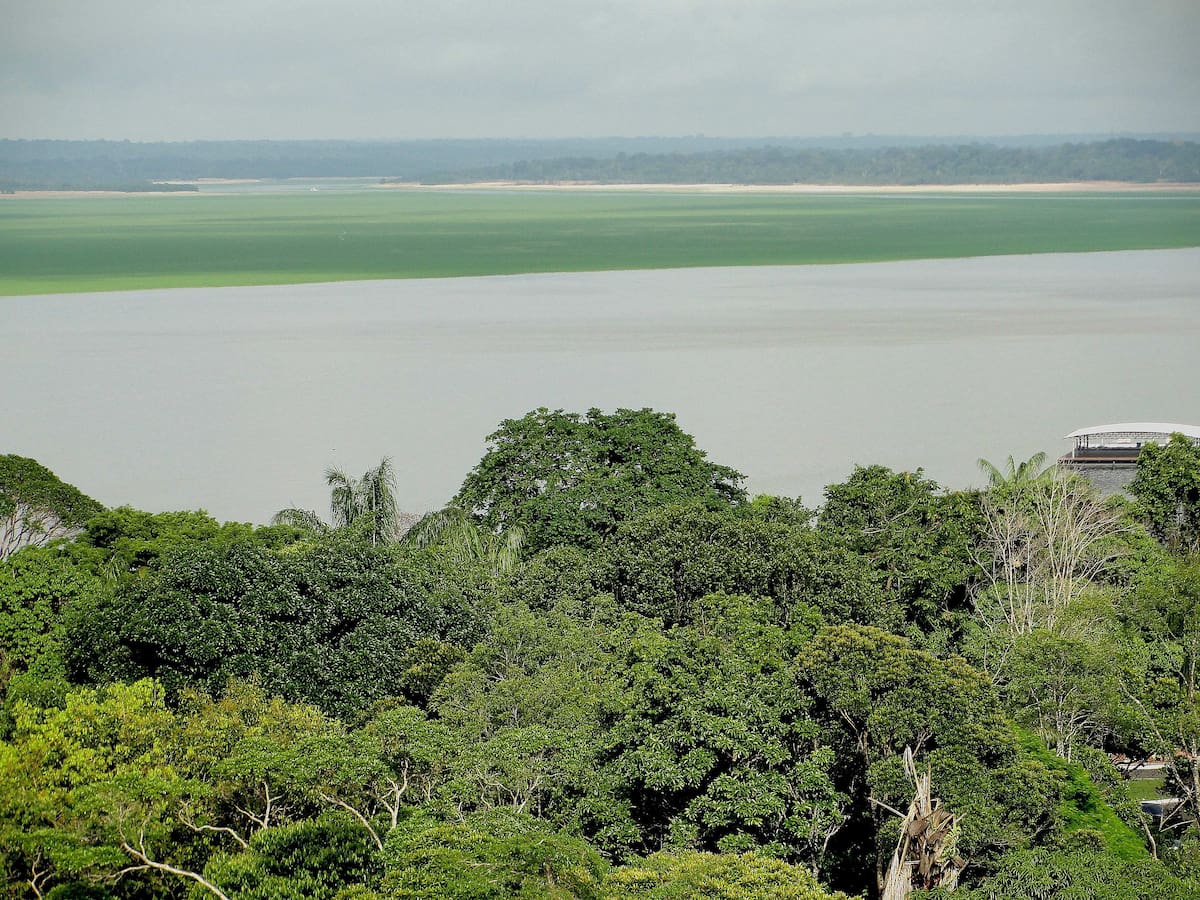 Fotografía de archivo que muestra una panorámica de selva y río desde Manaos, Amazonas (Brasil). EFE / VANGUARDIA