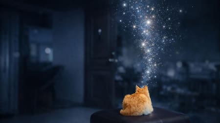 Las mascotas mueren, pero no se van (la vida después de Crucio)