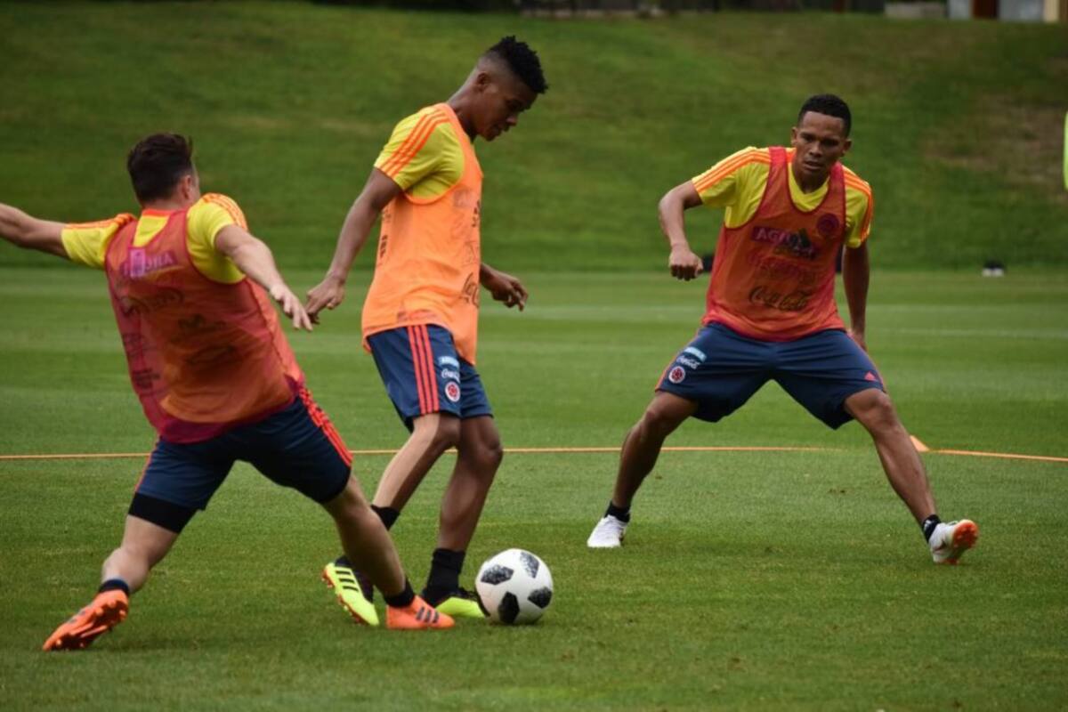 Todos los jugadores concentrados con la selección Colombia se están exigiendo a fondo pues quieren llegar en el mejor estado al Mundial de Rusia 2018, donde sin duda quieren superar lo hecho hace cuatro años en Brasil. (Foto: Suministrada FCF / VANGUARDIA LIBERAL)