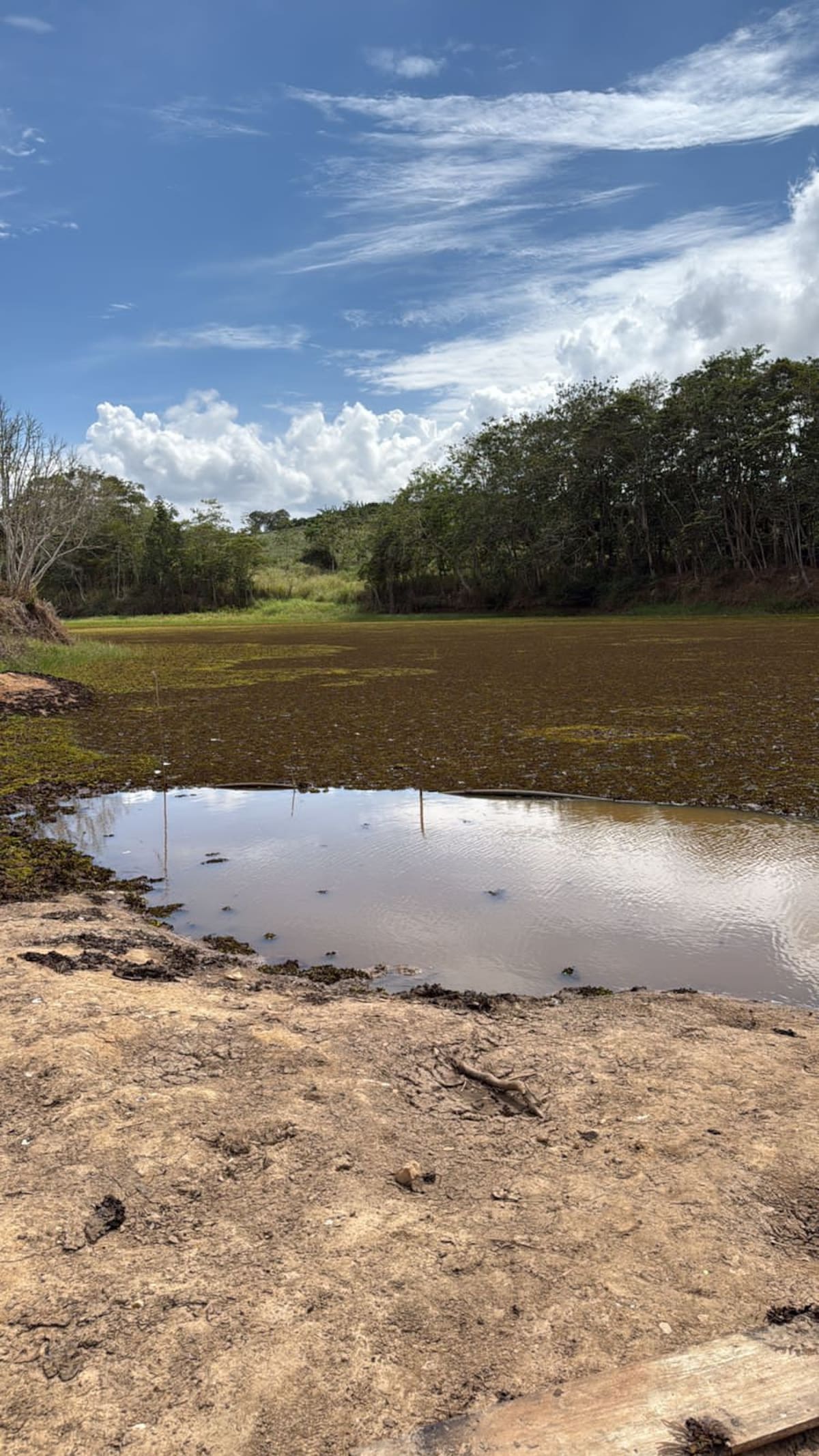 Reservorios de agua de Lebrija.