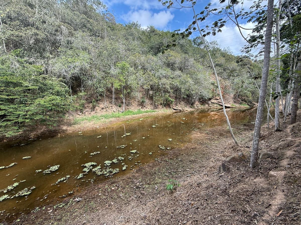 Reservorios de agua de Lebrija.