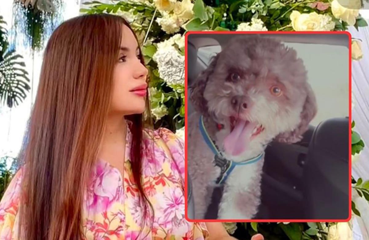 La abogada Lenny Fernández fue encontrada sin vida por los rescatistas en Cali. Fernández falleció mientras trataba de salvar a su perro, Salomón, que logró sobrevivir.