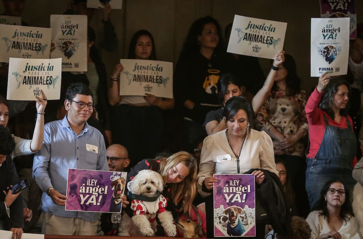 Imagen de referencia de a ley Ángel. // Foto: Colprensa - Catalina Olaya.