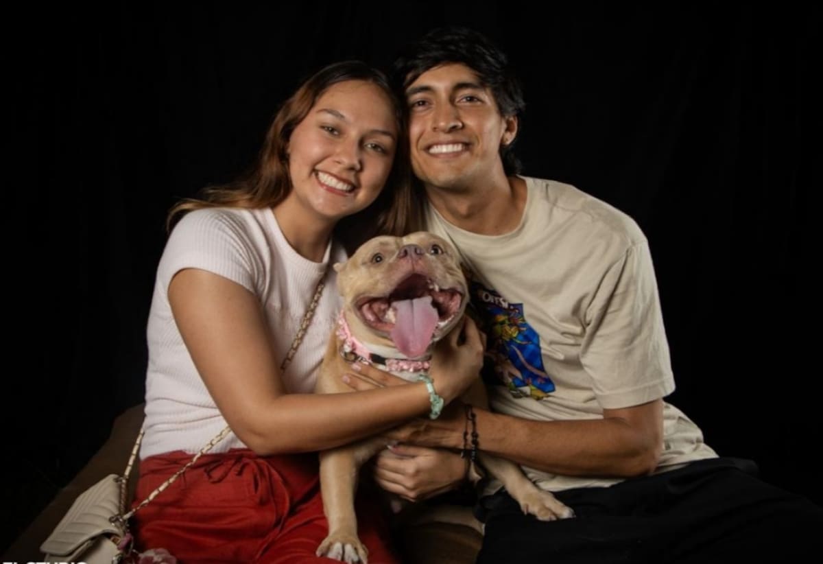 La noción de familia multiespecie se ha hecho más presente debido a la participación de las mascotas en la cotidianidad de los hogares colombianos. / Suministrada