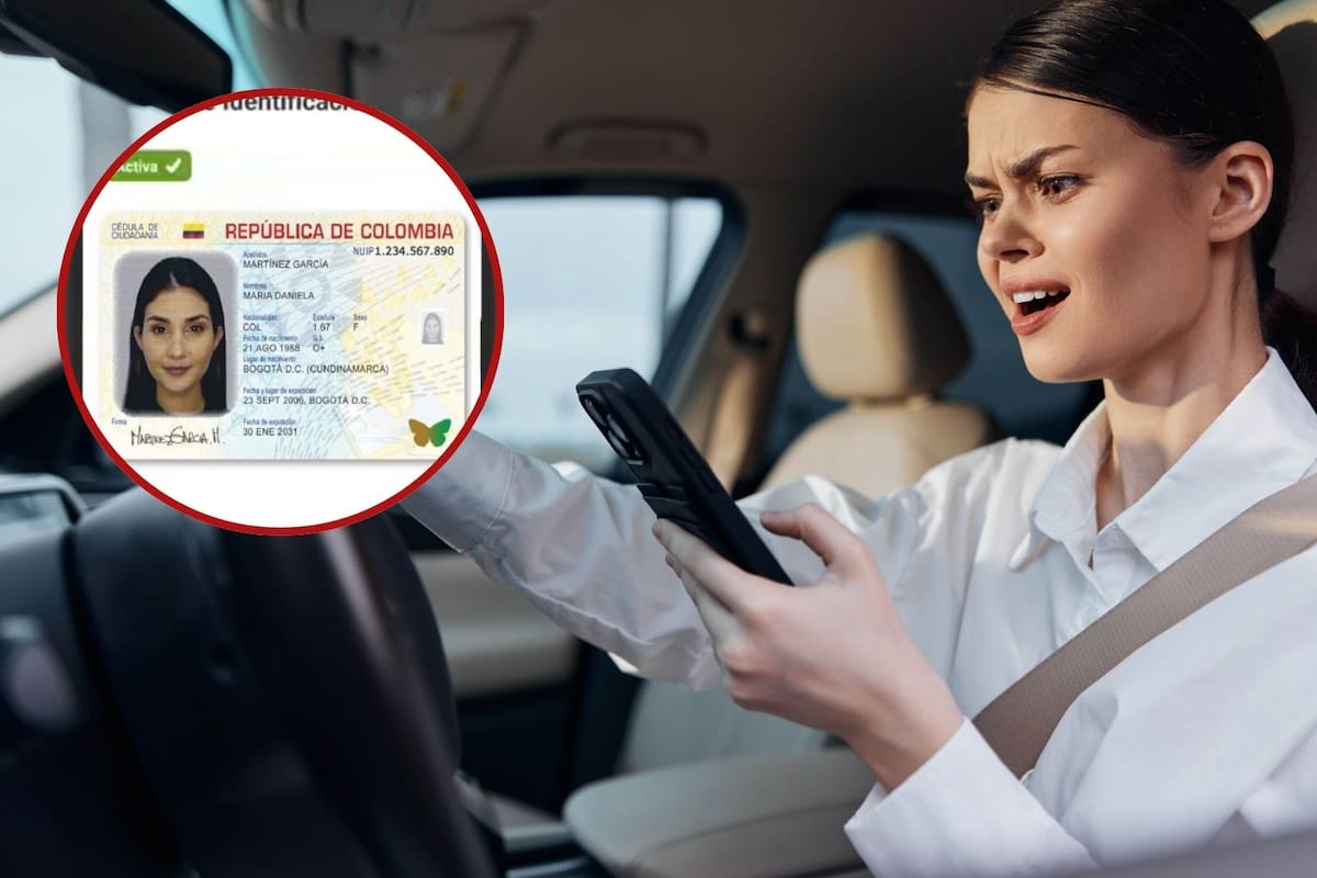 Licencia digital de conducción: requisitos y pasos para obtenerla en su celular.