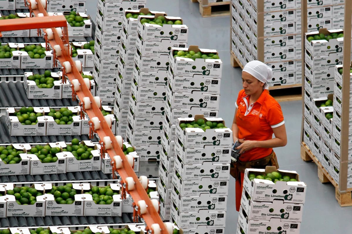 Marco Valencia/ VANGUARDIA Los productos agrícolas lograron resaltar por su potencial de crecimiento. Entre estos, el limón tahití destaca como el producto estrella del departamento.