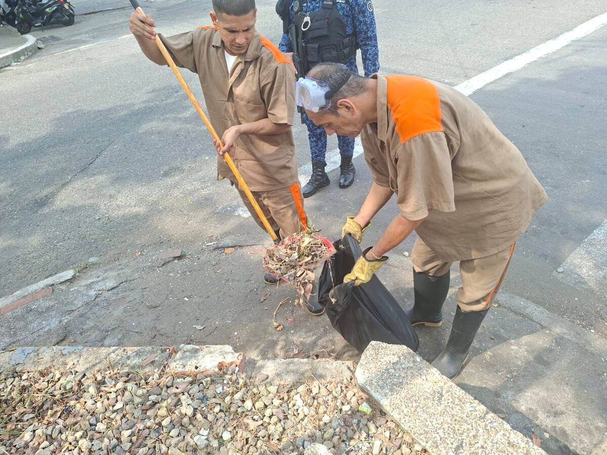 Personas privadas de la libertad participaron en labores de limpieza y embellecimiento en el Parque El Reloj, como parte del programa “Buena Esa”, que busca fortalecer su proceso de resocialización en Barrancabermeja.
Suministrada/Vanguardia