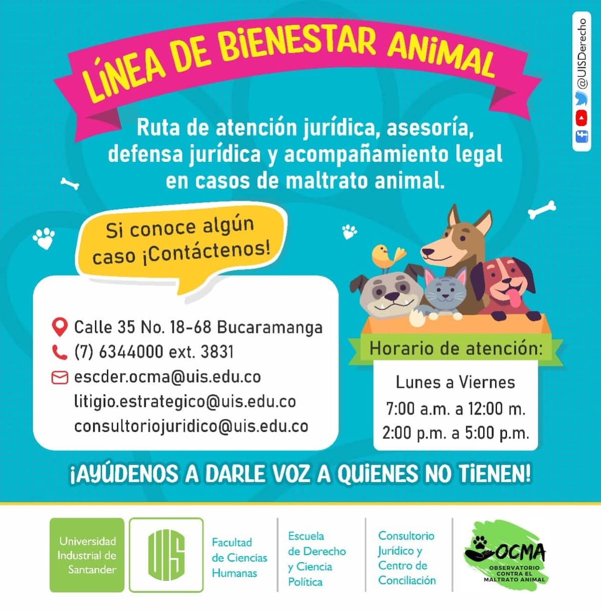 Iniciativas como la Línea de Bienestar Animal de la Universidad Industrial de Santander buscan cerrar esa brecha, ofreciendo orientación jurídica y promoviendo una relación más responsable entre humanos y animales.