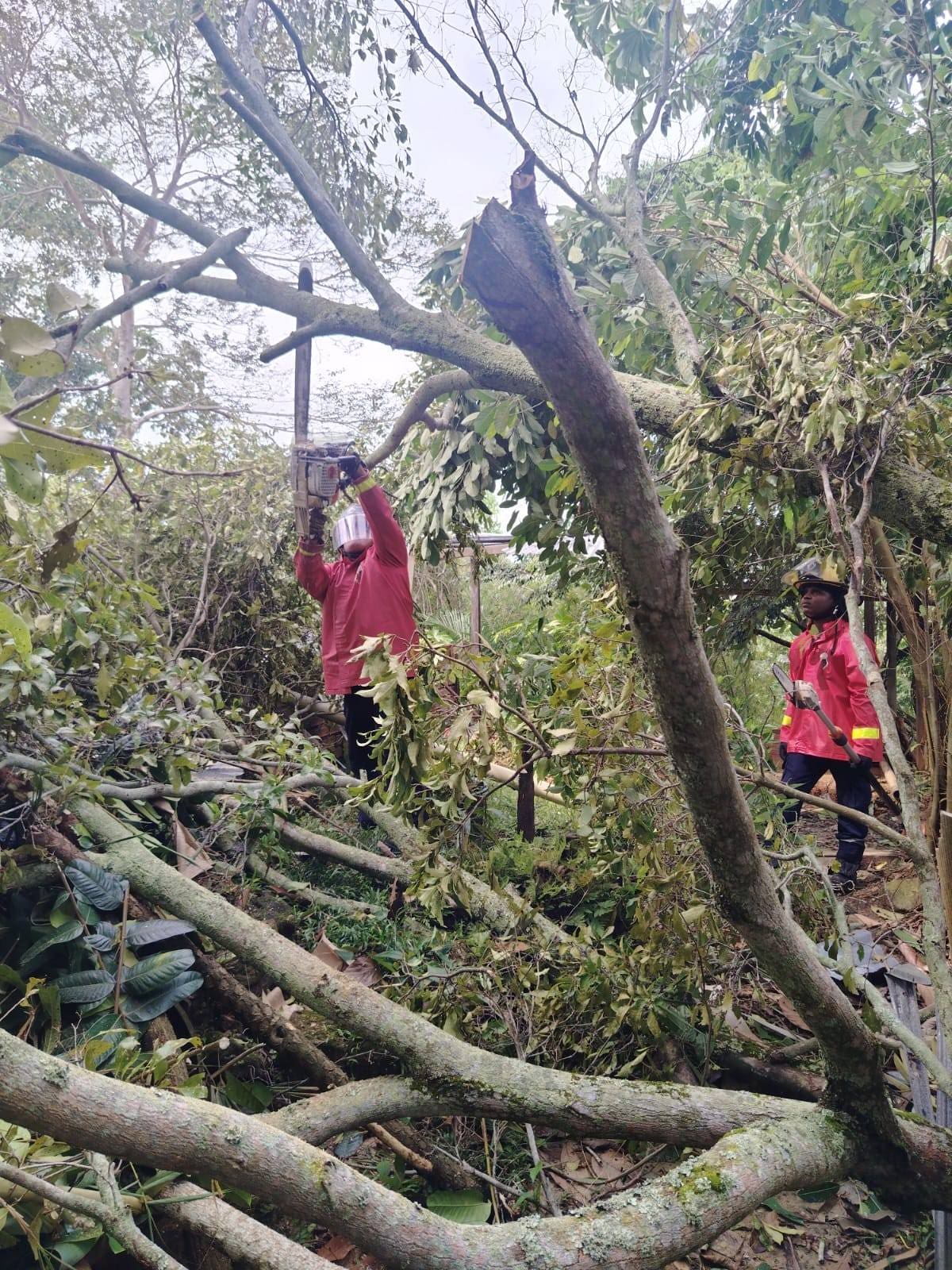 La Dirección de Gestión de Riesgos anunció acciones preventivas en zonas que históricamente sufren afectaciones durante las temporadas de lluvias.
Suministrada/Vanguardia