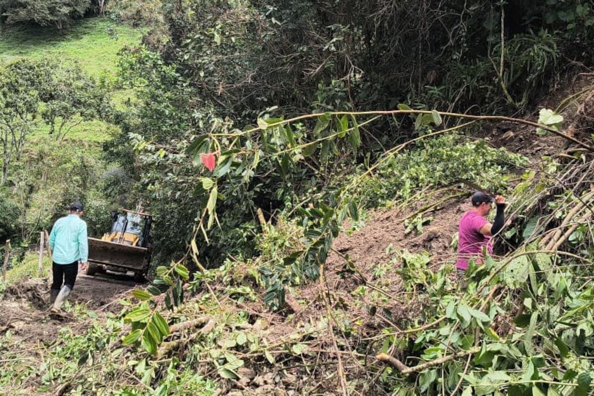 En municipios como Coromoro, la Alcaldía interviene con maquinaria amarilla los derrumbes y deslizamientos registrados en sectores como El Fical. (Foto: suministrada / VANGUARDIA)