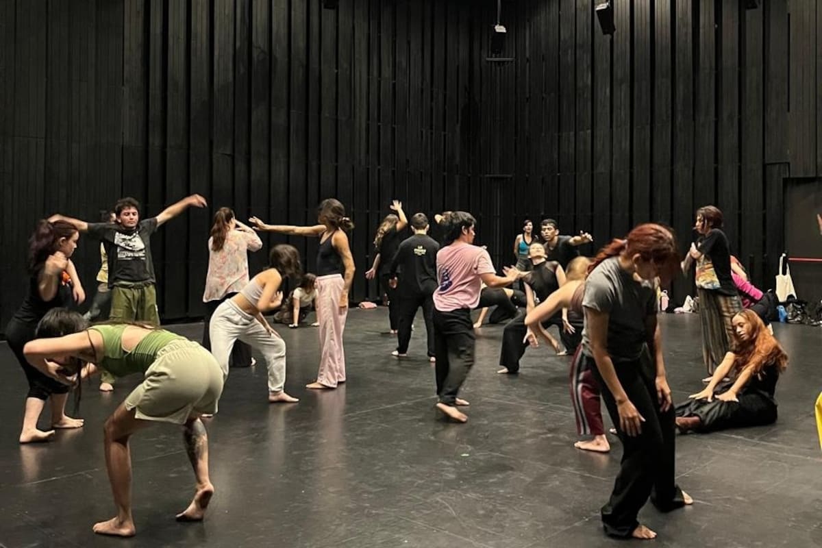 El laboratorio creativo Lo Poroso reúne a artistas locales e internacionales en un proceso de exploración del movimiento que finaliza hoy con una muestra en el Teatro Escuela del Teatro Santander. / Suministrada