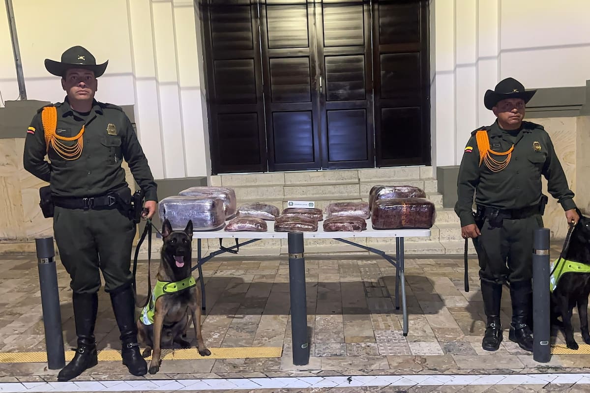Los 60 kilos de marihuana fueron incautados y quedaron a disposición de la Fiscalía.