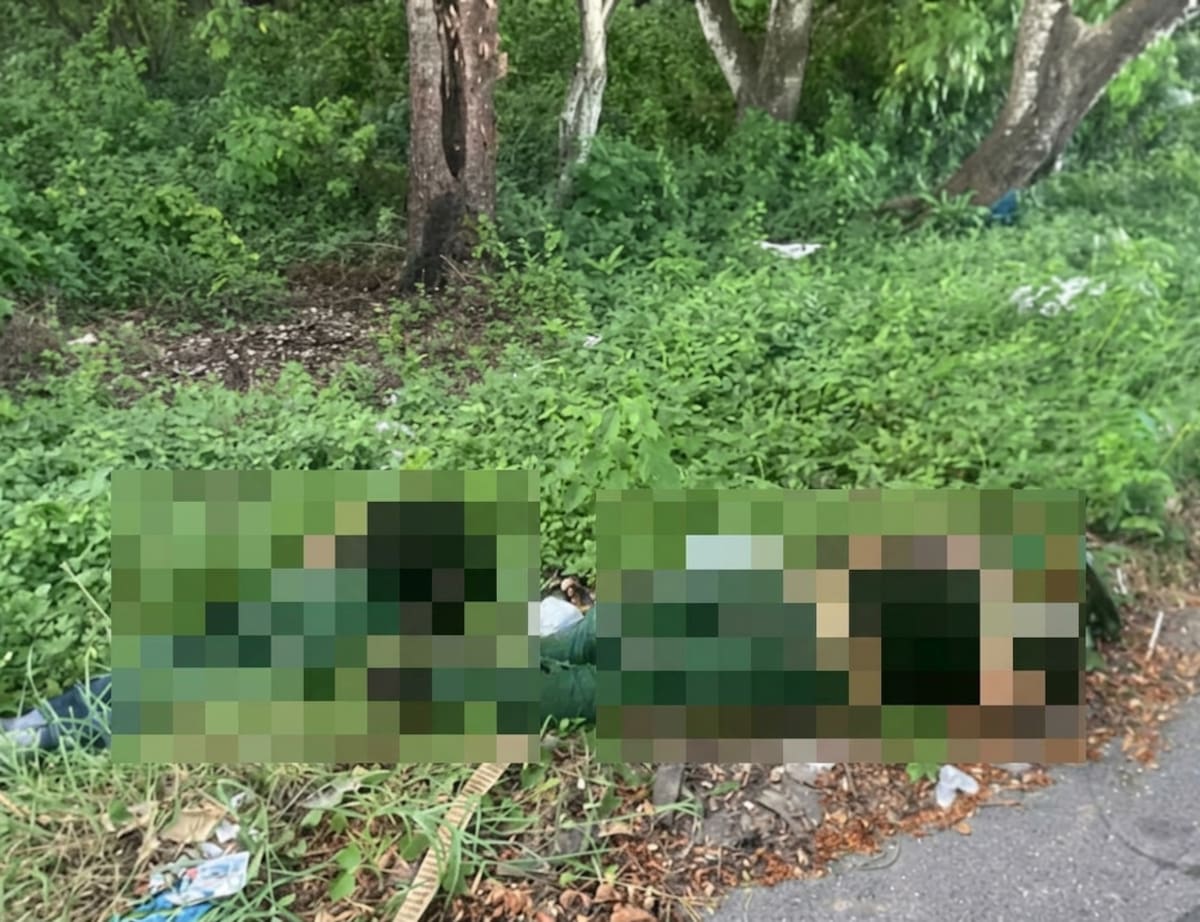 Los cuerpos de Jhoan Santiago González y Jhon Sebastián Álvarez fueron encontrados en medio de la maleza, a un costado de una de las ‘orejas’ del puente que comunica con Turbaco.