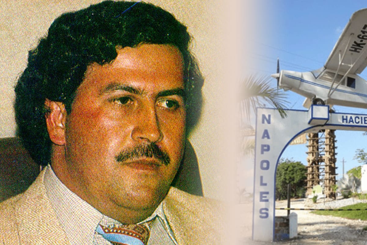Un ‘narco capricho’ de Pablo Escobar Gaviria ejecutado y desarrollado en Puerto Triunfo, Antioquia, hace 40 años, habría de desembocar en una grave alteración del ecosistema nacional.