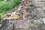 Alarma por deterioro del histórico camino entre Jordán y Los Santos
