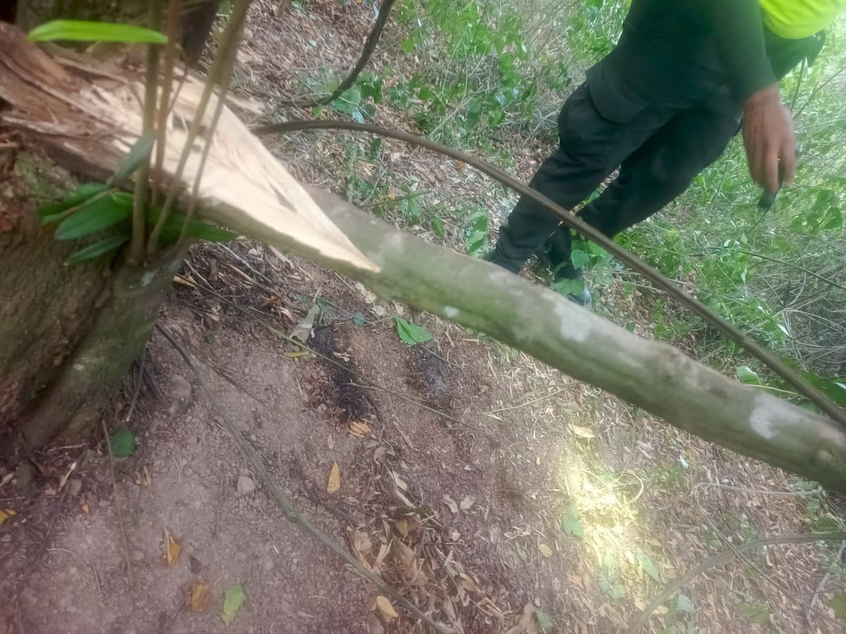 Este es el sitio donde fue encontrado el cuerpo que tiene las características de Yulixa Toloza, en Apulo, Cundinamarca.