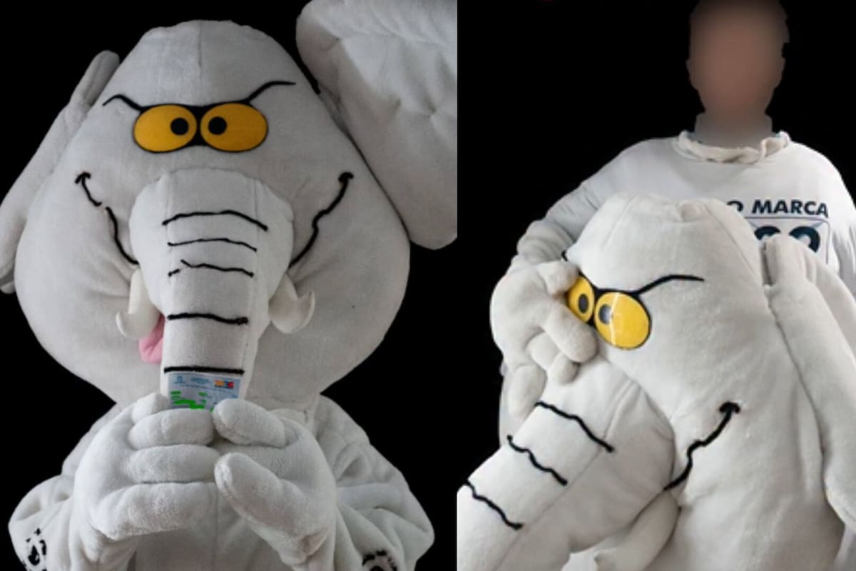 Luis Carlos Rúa, el famoso 'Elefante Blanco' de TikTok, dio la sorpresa y se quedó con una curul de la Alianza Verde.