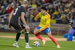 Selección Colombia: fecha confirmada para conocer los convocados de Néstor Lorenzo