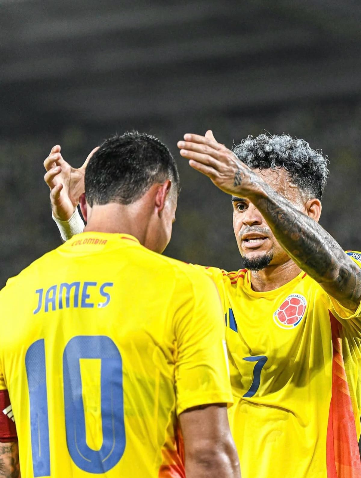 Luis Díaz y su emotivo mensaje a James Rodríguez tras su adiós a la Selección Colombia. Foto: Redes sociales Luis Díaz