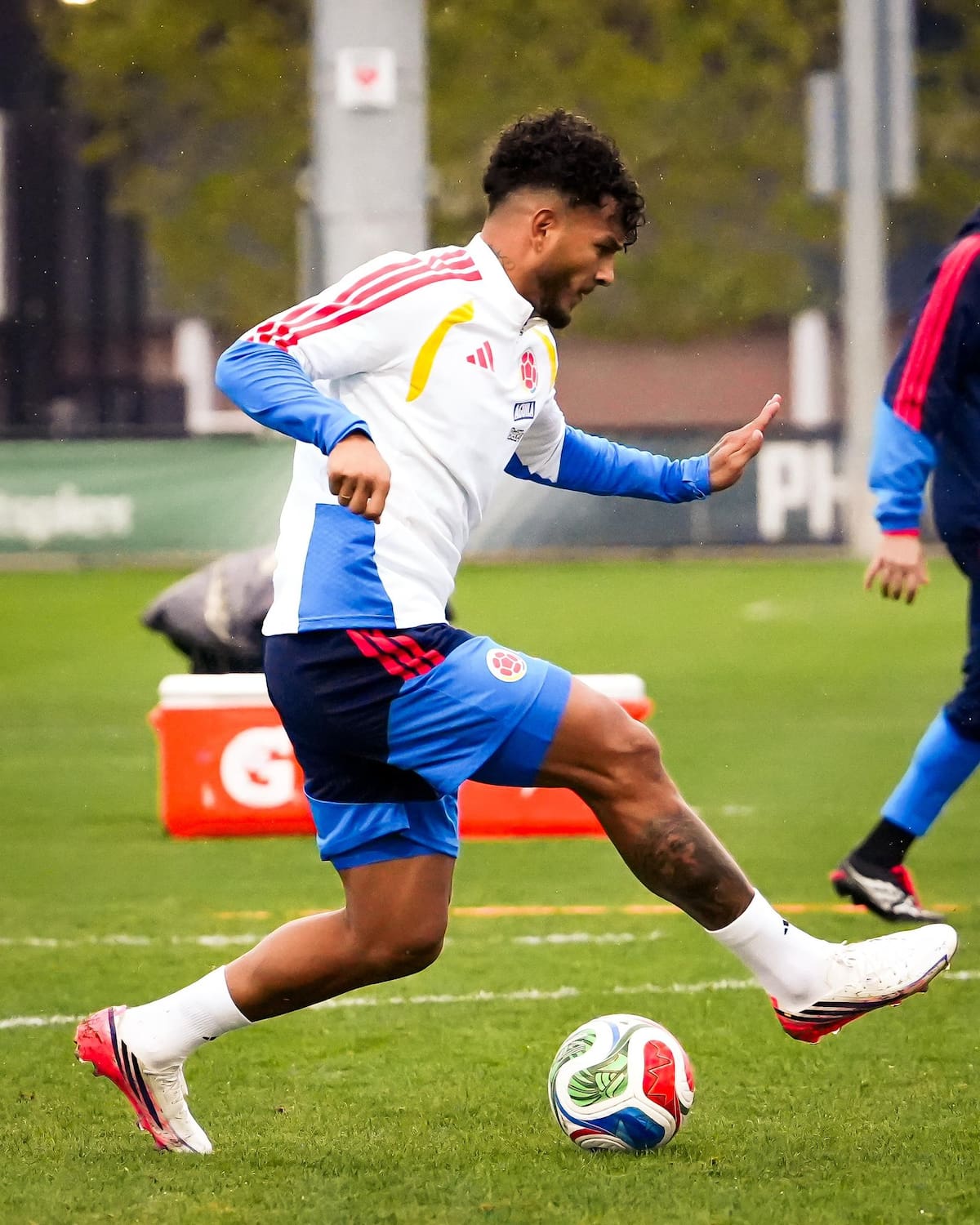 La selección Colombia enfrentará a México en el inicio de un nuevo proceso bajo el mando de Néstor Lorenzo. Foto: FCF.
