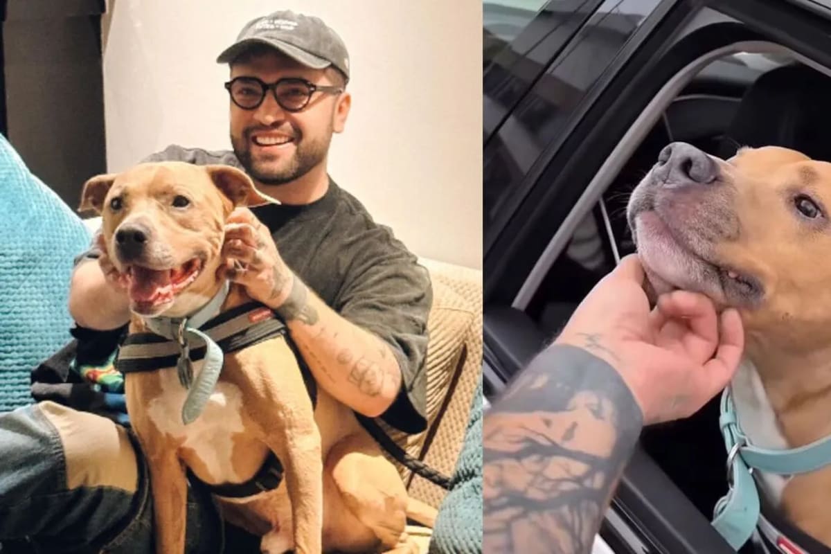 Tres meses después de haber superado un complejo tratamiento, Magnus volvió a ser diagnosticado con cáncer. / Redes sociales