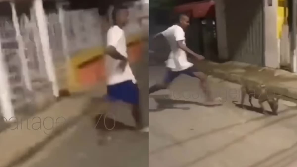 Uno de los puntos que preocupa a los proteccionistas es que actualmente se desconoce el paradero del perro que aparece en el video.