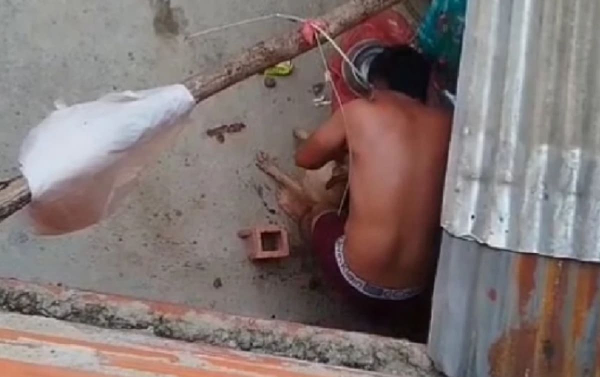 Brutal ataque a un perrito en Bucaramanga.
Foto: captura de video.