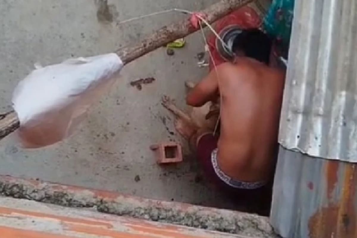 Brutal ataque a un perrito en Bucaramanga.
Foto: captura de video.