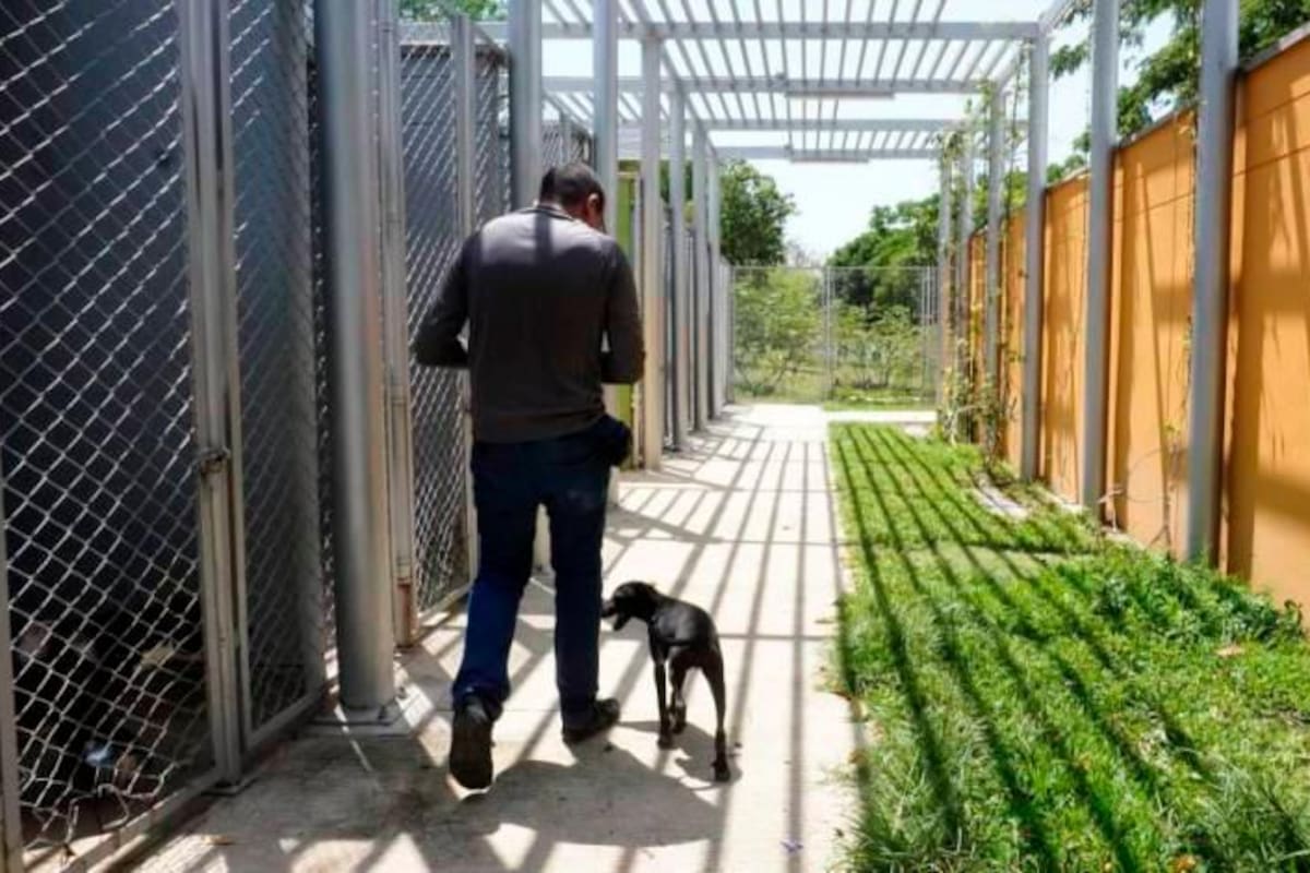 La Unidad de Bienestar Animal de Bucaramanga está ubicada en el barrio Campohermoso.