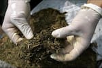 Desarticularon una 'olla' de microtráfico ubicada al sur de Bucaramanga