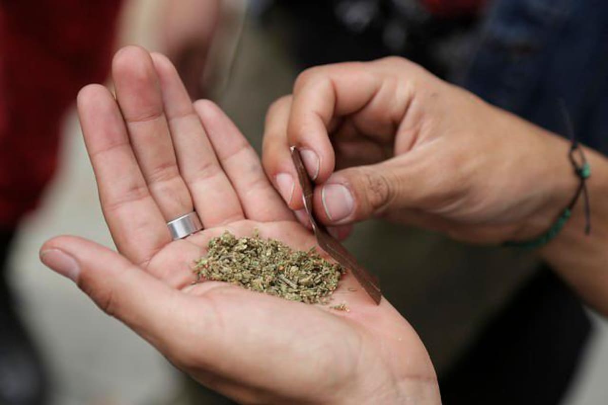 Proponen en el Congreso colombiano legalizar el consumo recreativo de marihuana (Foto: Colprensa)