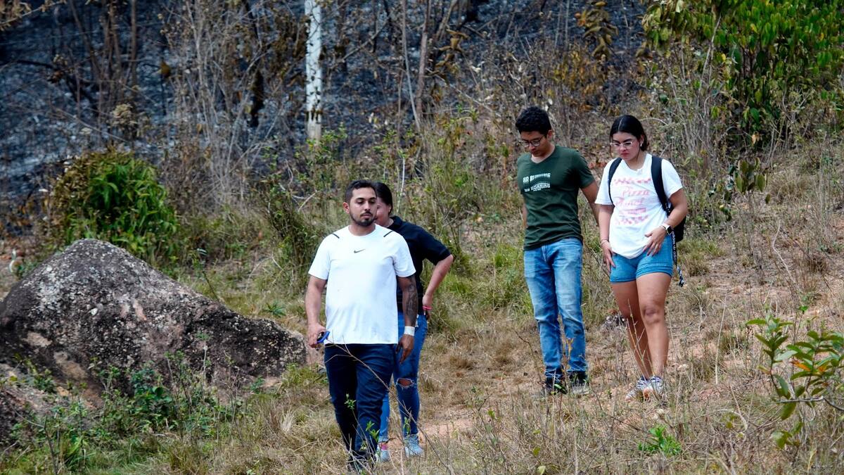 Voluntarios recorren la zona de la emergencia, en Piedecuesta, con el fin de brindar ayuda a los animales que resultaron malheridos. (Fotos: Marco Valencia / VANGUARDIA)