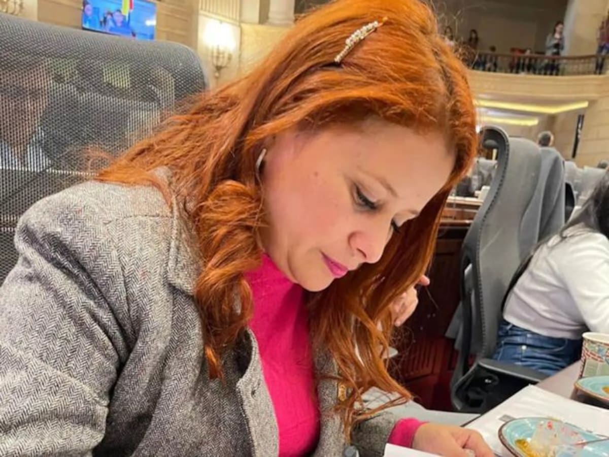 Representante a la Cámara por Santander, Mary Anne Andrea Perdomo Gutiérrez. Tomada de X //
