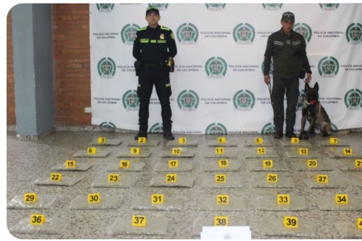 Más de 20 kilos de marihuana fueron incautados en el aeropuerto El Dorado. | Foto: Tomada de Q' Hubo Bogotá