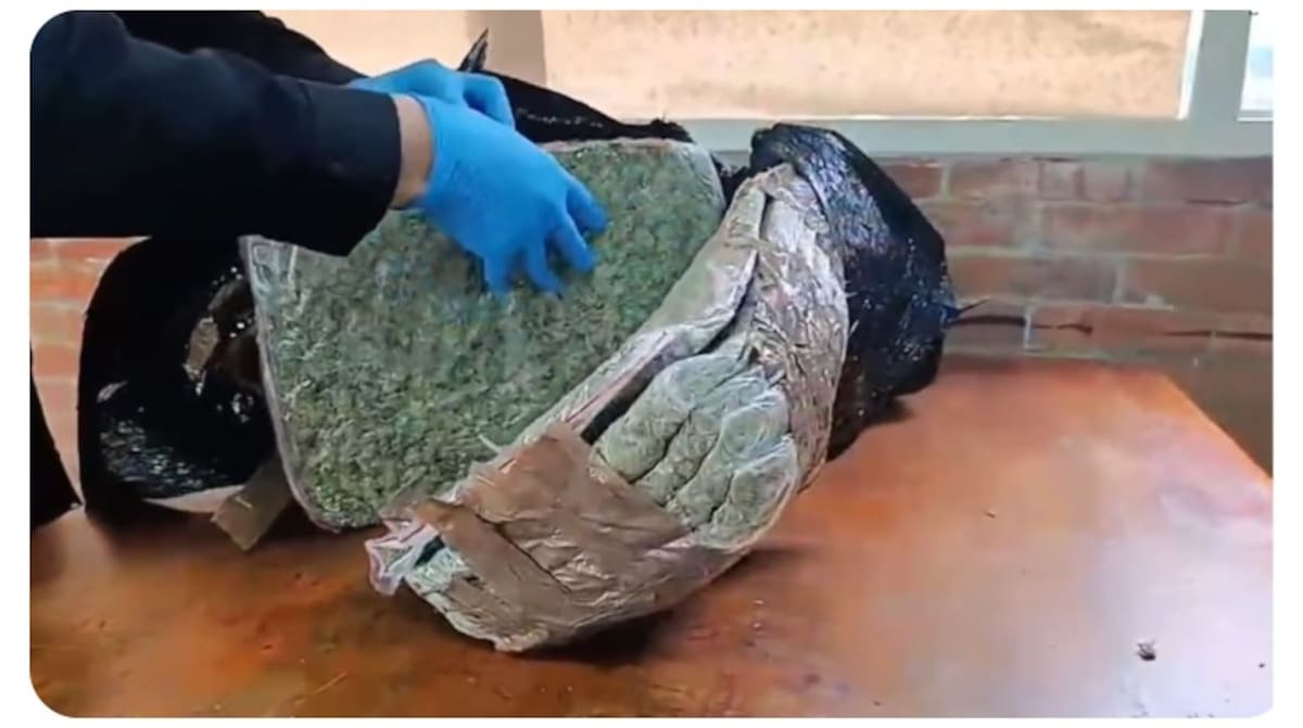 Más de 20 kilos de marihuana fueron incautados en el aeropuerto El Dorado. | Foto: Tomada de Q' Hubo Bogotá