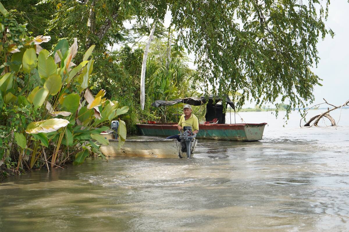 Suministrada/Vanguardia