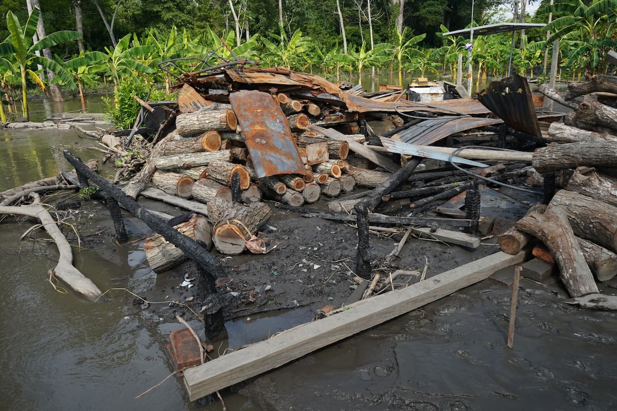 Suministrada/Vanguardia