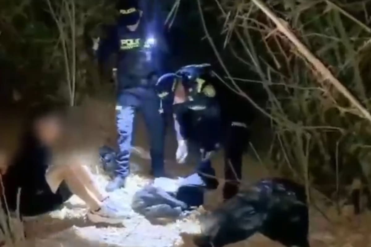 Más de cinco kilos de marihuana y 200 pastillas de clonazepam fueron hallados en un cambuche en Bucaramanga