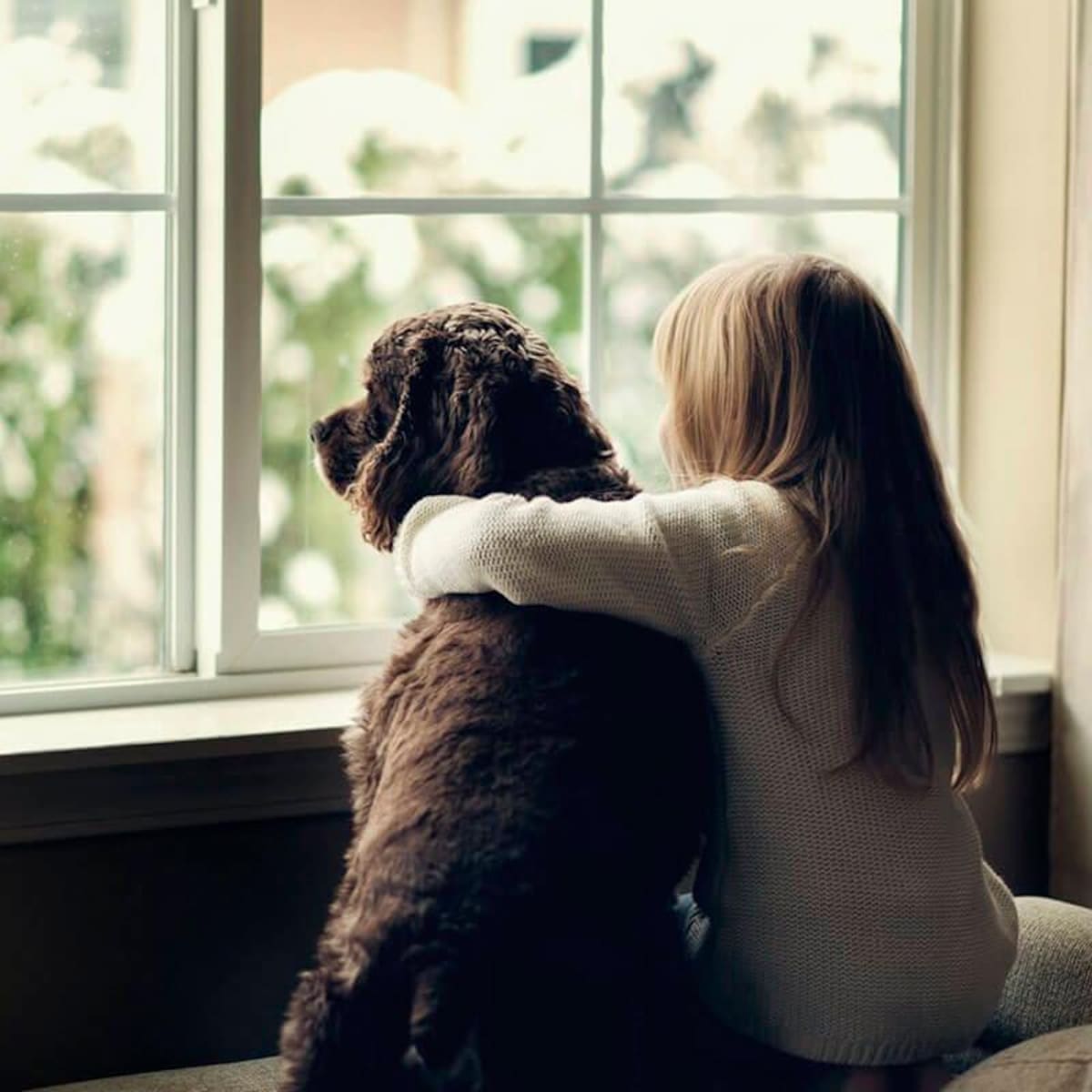 Tener una mascota puede ayudar emocionalmente, pero exige responsabilidad y cuidado mutuo.