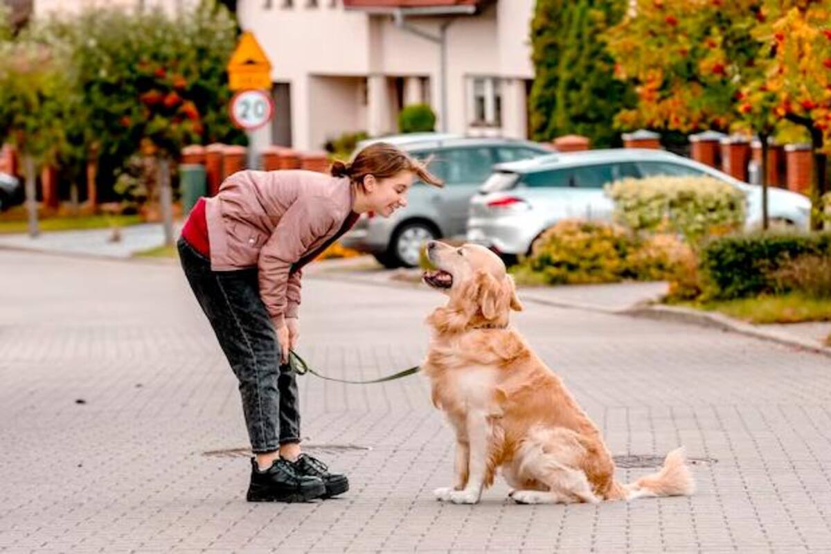 En caso de incumplimiento de estas disposiciones, el Código Nacional de Policía y Convivencia contempla sanciones para aquellos propietarios que no cumplan con sus responsabilidades en la tenencia de mascotas en copropiedades. Foto: Pixabay / VANGUARDIA