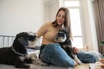 Bienestar animal: deberes, normas y retos para proteger a las mascotas