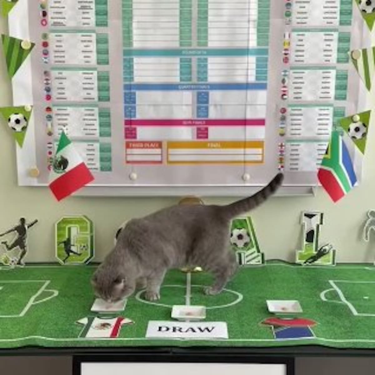 Maximus, el gato del primer ministro belga Bart De Wever, va a predecir los resultados de los partidos del Mundial de 2026. La primera pronóstico de Maximus apunta a la victoria de México sobre Sudáfrica en el partido inaugural.